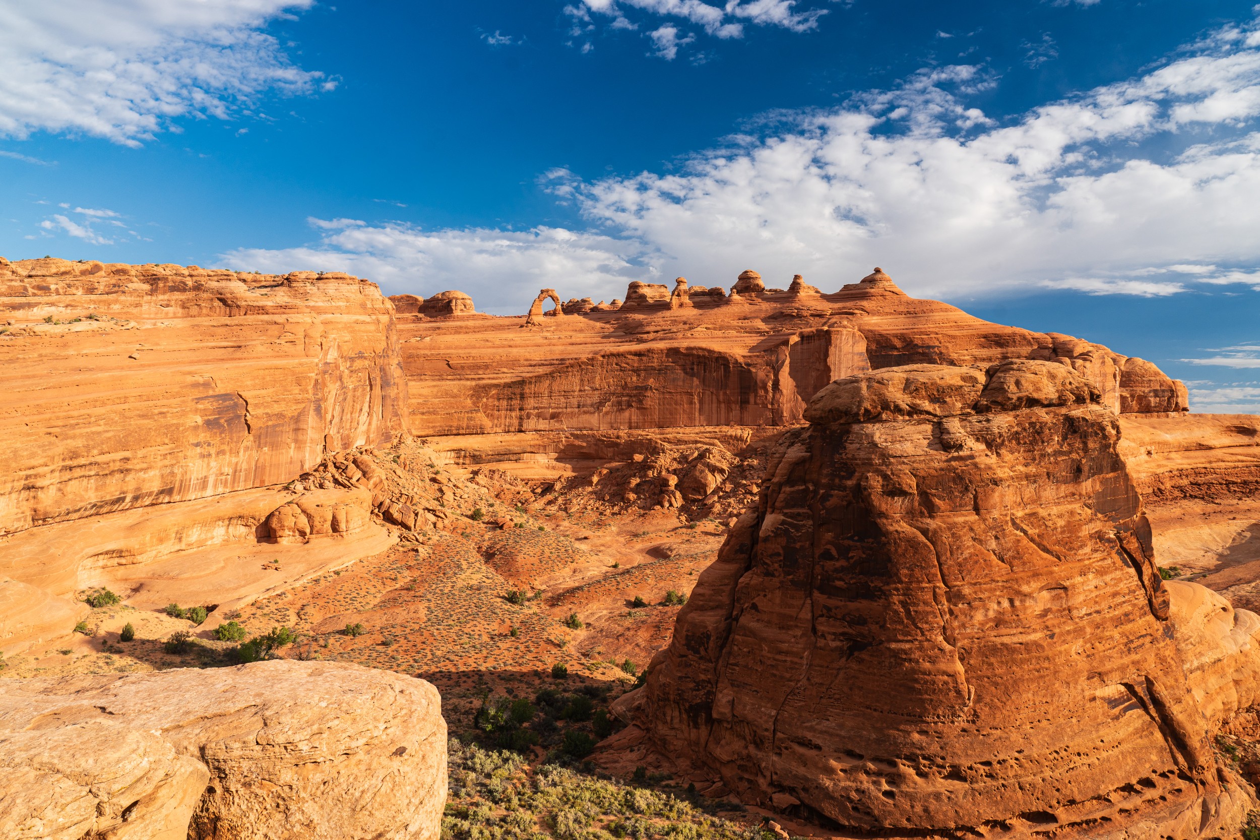 USA 2024 5 Sterne 110